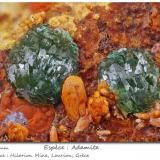 Adamite<br />Hilarion Mine, Hilarion area, Kamariza Mines, Agios Konstantinos, Lavrion Mining District, Attikí (Attica) Prefecture, Greece<br />fov 3.2 mm<br /> (Author: ploum)