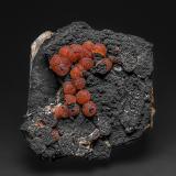 Rhodochrosite, RomanechiteLone Tree Mine, Buffalo Mountain District, Humboldt County, Nevada, USA6.7 x 6.1 cm (Author: am mizunaka)