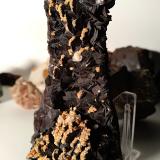 Goethite after Siderite, Ankerite, Calcite<br />Brosso Mine, Cálea, Léssolo, Canavese District, Metropolitan City of Turin Province, Piedmont (Piemonte), Italy<br />107 x 72 mm<br /> (Author: Sante Celiberti)