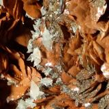 Siderite, Calcite, Pyrite, Baryte180 x 130 mm (Author: Sante Celiberti)