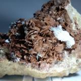 Siderite, Baryte, CalciteMina Brosso, Cálea, Léssolo, Distrito Canavese, Provincia Ciudad metropolitana de Turín, Piamonte (Piemonte), Italia132 x 87 mm (Author: Sante Celiberti)