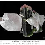 Tourmaline and QuartzStak Nala, Montes Haramosh, Distrito Skardu, Gilgit-Baltistan (Áreas del Norte), Paquistánfov  70 mm (Author: ploum)