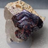 Rutilo<br />Kinyanfumbe, Zambia<br />2,3 x 1,5 x 1 cm<br /> (Autor: Frederic Varela)