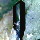 Neptunita<br />Mina California State Gem (Benitoite Gem Mine), Zona San Benito River headwaters, Pico Santa Rita, Distrito New Idria, Condado San Benito, California, USA<br />Cristal de 11 mm.<br /> (Autor: Antonio P. López)