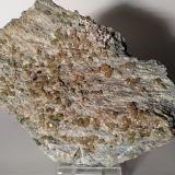 Andradite (variety topazolite)<br />Nero Lake, Usseglio, Val di Viù / Viù Valley, Lanzo Valleys (Valli di Lanzo), Metropolitan City of Turin Province, Piedmont (Piemonte), Italy<br />127 x 91 mm<br /> (Author: Sante Celiberti)