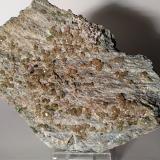 Andradite (variety topazolite)<br />Nero Lake, Usseglio, Val di Viù / Viù Valley, Lanzo Valleys (Valli di Lanzo), Metropolitan City of Turin Province, Piedmont (Piemonte), Italy<br />127 x 91 mm<br /> (Author: Sante Celiberti)