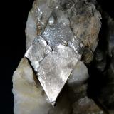 Moscovita en Cuarzo<br />Sierra Albarrana, Hornachuelos, Comarca Valle Medio del Guadalquivir, Córdoba, Andalucía, España<br />Cristal de 3 cm.<br /> (Autor: Antonio P. López)