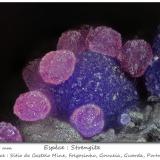 Strengite<br />Sitio do Castelo Mine (Folgosinho Quarry), Folgosinho, Gouveia, Guarda District, Centro Region, Portugal<br />fov 0.85 mm<br /> (Author: ploum)