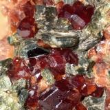 Grossular (variety hessonite), ClinochloreVal di Viù / Viù Valley, Lanzo Valleys (Valli di Lanzo), Metropolitan City of Turin Province, Piedmont (Piemonte), Italy77,6 x 70,2 mm (Author: Sante Celiberti)