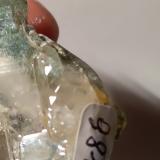 Quartz (variety faden), Chlorite (Group)<br />Triolet Glacier, Ferret Valley, Les Grandes Jorasses Massif, Courmayeur, Aosta Valley (Val d'Aosta), Italy<br />61 x 37 mm<br /> (Author: Sante Celiberti)
