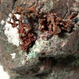Cobre<br />Mina Montecatini, Montecatini Val di Cecina, Provincia Pisa, Toscana, Italia<br />52,5 x 44,3 mm<br /> (Autor: Sante Celiberti)
