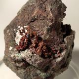 Cobre<br />Mina Montecatini, Montecatini Val di Cecina, Provincia Pisa, Toscana, Italia<br />52,5 x 44,3 mm<br /> (Autor: Sante Celiberti)