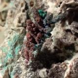 Cobre, Malaquita<br />Roccatederighi, Roccastrada, Provincia Grosseto, Toscana, Italia<br />72,3 x 54,5 mm<br /> (Autor: Sante Celiberti)