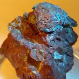 Cobre<br />Mina Montecatini, Montecatini Val di Cecina, Provincia Pisa, Toscana, Italia<br />42 x 40 mm<br /> (Autor: Sante Celiberti)