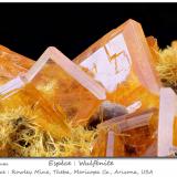 Wulfenite with Mimetite<br />Rowley Mine, Theba, Painted Rock District, Painted Rock Mountains, Maricopa County, Arizona, USA<br />fov 11 mm<br /> (Author: ploum)