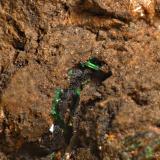 Malaquita<br />Minas del Collado de la Plata, Collado de la Plata, Albarracín, Comarca Sierra de Albarracín, Teruel, Aragón, España<br />0,1 cm.<br /> (Autor: DPC)