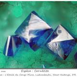 Cornetite<br />L'Etoile du Congo Mine, Lubumbashi (Elizabethville), Katanga Copper Crescent, Haut-Katanga (Shaba), Democratic Republic of the Congo (Zaire)<br />fov 0.80 mm<br /> (Author: ploum)