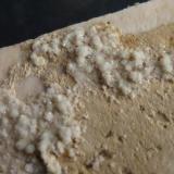 Ortoclasa, MicroclinaIsabel Quarry (La Saludadora Quarry), La Cabrera pluton, Valdemanco, Comarca Sierra de Guadarrama, Community of Madrid, Spain4,5 x 2,4 cm. (Autor: javier ruiz martin)