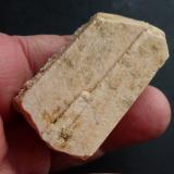 Ortoclasa, MicroclinaIsabel Quarry (La Saludadora Quarry), La Cabrera pluton, Valdemanco, Comarca Sierra de Guadarrama, Community of Madrid, Spain4,5 x 2,4 cm. (Autor: javier ruiz martin)