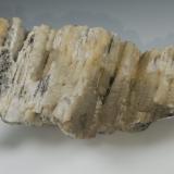 WavelliteGeneral Trimble's Mine, East Whiteland Township, Chester County, Pennsylvania, USA13.6 cms x 6.5 cms (Author: kushmeja)