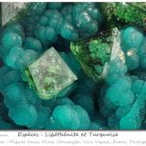 Libethenite and Turquoise<br />Miguel Vacas Mine, Pardais and Conceição Parish, Vila Viçosa, Évora District, Alentejo Central Province, Alentejo Region, Portugal<br />fov 2.0 mm<br /> (Author: ploum)
