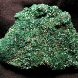 Atacamite<br />Mount Gunson Copper mines, Pernatty Lagoon, Stuart Shelf, South Australia, Australia<br />6.4x5x2 cm<br /> (Author: Joseph DOliveira)