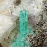 Beryl (variety emerald), Pyrite, Calcite, Fluorapatite, Albite (variety cleavelandite)<br />Chivor mining district, Municipio Chivor, Eastern Emerald Belt, Boyacá Department, Colombia<br />148mm x 87mm x 80mm, xl=15mm<br /> (Author: Fiebre Verde)