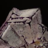 Fluorite<br />Qinglong Mine, Dachang, Qinglong, Qianxi'nan Autonomous Prefecture, Guizhou Province, China<br />7.5 cm x 9.5 cm<br /> (Author: Michael Shaw)