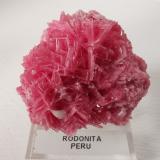 RodonitaSan Martín Mine, Chiurucu (Chiuruco), Huallanca District, Bolognesi Province, Ancash Department, Peru4.9 x 4.5 cm (Autor: Diego Navarro)