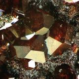 CaracolitaLa Ferruginosa Mine, Cabezo de la Escucha, Cartagena, Comarca Campo de Cartagena, Region of Murcia (Murcia), Spainfov 1 mm (Autor: Rewitzer Christian)