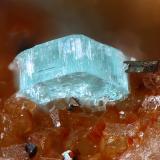 BottinoítaNueva Virginia Mine, Royo ravine, Lanzuela, Comarca Jiloca, Teruel, Aragon, Spainfov 1.2 mm (Autor: Rewitzer Christian)