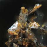 NeustädtelitaAlcantarilla Mine, Encinilla Baja-Ventosilla, Belalcázar, Comarca Los Pedroches, Córdoba, Andalusia, Spainfov 0.5 mm (Autor: Rewitzer Christian)