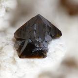 DescloizitaConcesión Laura, Los Lastonares, Albuñuelas, Comarca Valle de Lecrín, Granada, Andalucía, Españafov 0.9 mm (Autor: Rewitzer Christian)