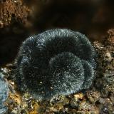 CoronaditaMina La Ferruginosa, Cabezo de la Escucha, Cartagena, Comarca Campo de Cartagena, Región de Murcia (Murcia), Españafov 2.1 mm (Autor: Rewitzer Christian)