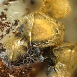 ScheelitaCogolla Alta Mine, Belalcázar, Comarca Los Pedroches, Córdoba, Andalusia, Spainfov 4 mm (Autor: Rewitzer Christian)