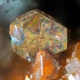 PolidimitaNueva Virginia Mine, Royo ravine, Lanzuela, Comarca Jiloca, Teruel, Aragon, Spainfov 1 mm (Autor: Rewitzer Christian)