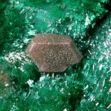 Chlorargyrite with Malachite<br />Felisa Mine, Alhamilla Mountains, Rioja, Comarca Metropolitana de Almería, Almería, Andalusia, Spain<br />fov 1.5 mm<br /> (Author: Rewitzer Christian)