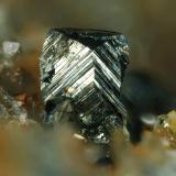 FülöppiteMina Nueva Virginia, Barranco Royo, Lanzuela, Comarca Jiloca, Teruel, Aragón, Españafov 0.9 mm (Author: Rewitzer Christian)