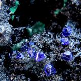 AzuritaMina Linda Mariquita, El Molar, Comarca Priorat, Tarragona, Cataluña / Catalunya, España22 x 18 x 11 mm (Autor: José Luis Zamora)