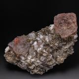 Fluorite, Fluorapatite, Muscovite, Albite<br />Chumar Bakhoor, Hunza Valley, Nagar District, Gilgit-Baltistan (Northern Areas), Pakistan<br />10.5 x 5.5 cm<br /> (Author: am mizunaka)