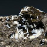 Levyna-Ca y Offretita<br />Cantera Beech Creek, Mount Vernon, Condado Grant, Oregon, USA<br />Campo de visión 4 cm.<br /> (Autor: Antonio P. López)
