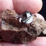 Granate (Grupo)Cala, Comarca Sierra de Huelva, Huelva, Andalusia, Spain6 x 4 cm. (Autor: javier ruiz martin)
