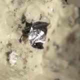Molybdenite<br />Cadarese Quarries, Premia gneiss Quarries, Premia, Antigorio Valley, Ossola Valley, Verbano-Cusio-Ossola Province, Piedmont (Piemonte), Italy<br />43 x 39,5 mm<br /> (Author: Sante Celiberti)