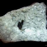 Allanita sobre Dolomita.Trimouns Mine, Luzenac, Haute-Ariège, Foix, Ariège Department, Occitanie, France60x35 mm. (Autor: Jesus Franquesa Baucells)