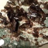Muscovite, Quartz, Chlorite<br />Beura Quarries, Beura-Cardezza, Ossola Valley, Verbano-Cusio-Ossola Province, Piedmont (Piemonte), Italy<br />121 x 72 mm<br /> (Author: Sante Celiberti)