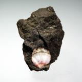 Thomsonita-CaThomsonite beach, Grand Marais, Cook County, Minnesota, USA4 x 3 cm. (Autor: Antonio P. López)