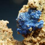 AzuritaLa Estrella Mine, Pardos, Comarca Señorío de Molina-Alto Tajo, Guadalajara, Castilla-La Mancha, Spain1 cm. la Azurita (Autor: javier ruiz martin)