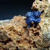 AzuritaLa Estrella Mine, Pardos, Comarca Señorío de Molina-Alto Tajo, Guadalajara, Castilla-La Mancha, Spain1 cm. la Azurita (Autor: javier ruiz martin)