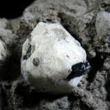 Leucita<br />Orchi, Conca della Campania, Complejo volcánico Roccamonfina, Provincia Caserta, Campania, Italia<br />Cristal de 2 cm.<br /> (Autor: Antonio P. López)