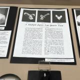 Article in an exhibit at the 2020 Tucson Gem and Mineral Show. (Author: am mizunaka)